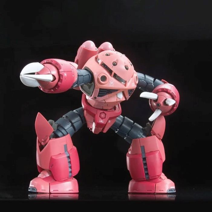 #16 Char"s Custom Z'gok, Bandai RG 1/144