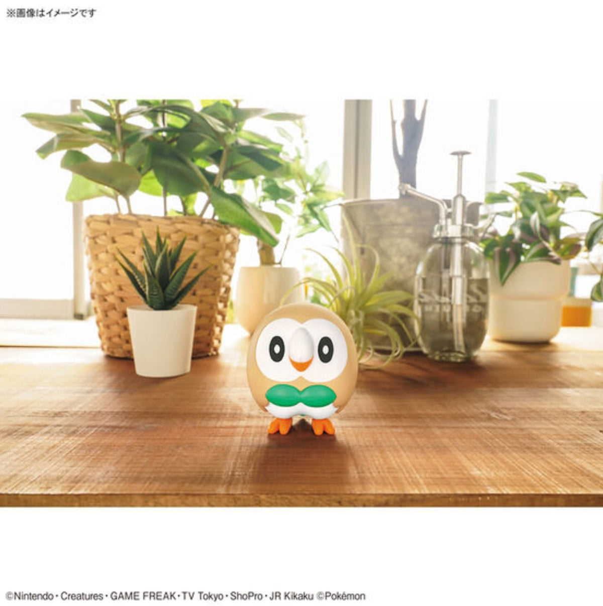 #10 Rowlet "Pokemon" Bandai Spirits Pokemon Model