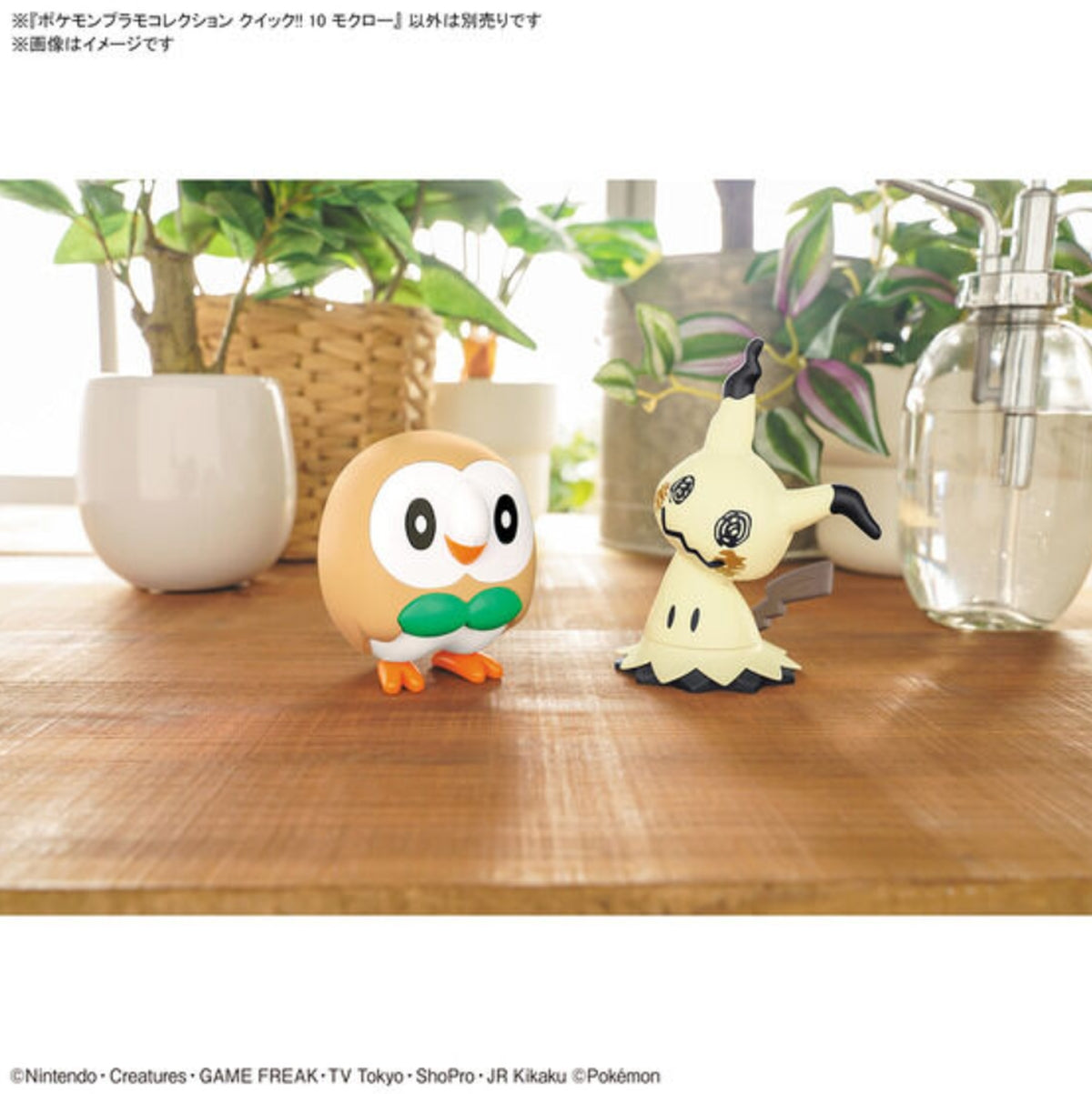 #10 Rowlet "Pokemon" Bandai Spirits Pokemon Model