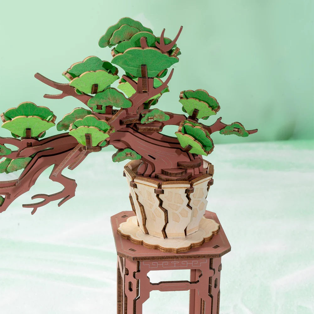 Evergreen Pine Bonsai DIY Wooden 3D Puzzle